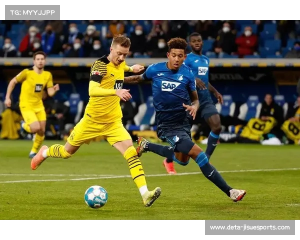 霍芬海姆2-0法兰克福：主场控制力取胜